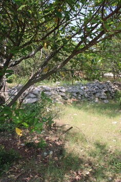 Poljoprivredno zemljište 300m2 - Herceg Novi - Luštica
