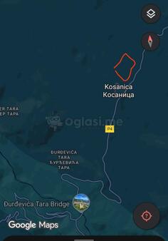 Eko Kamp Kosanica
