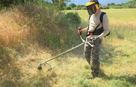 Košenje i krčenje placeva