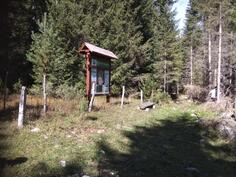 Poljoprivredno zemljište 17803m2 - Žabljak - Borje