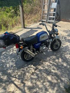 CF Moto - GORILLA