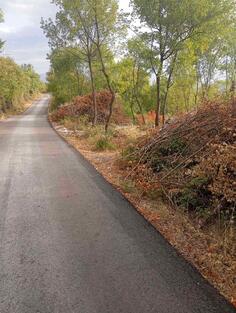 Poljoprivredno zemljište 15300m2 - Podgorica - > Okolina grada