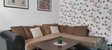 Jednoiposoban stan 60m2 - Cetinje - Centar grada