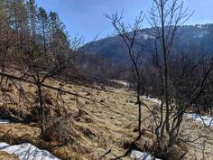 Građevinsko zemljište 13000m2 - Knjaževac - Crni Vrh