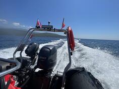 Zodiac - Sillinger 6.3m