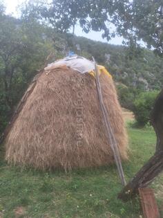 Prodajem sijeno u rifuzi a moze i u balama. Ima proslogodisnje i ovogodisnje