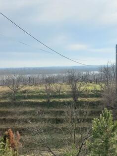 Građevinsko zemljište 5200m2 - Stara Pazova - Belegiš