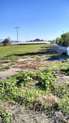 Poljoprivredno zemljište 7400m2 - Podgorica - Golubovci