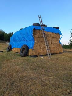 Prodajem balirano sijeno