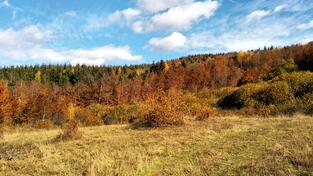 Građevinsko zemljište 23000m2 - Kolašin - Smailagića Polje
