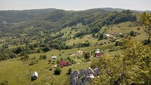 Poljoprivredno zemljište 170000m2 - Mojkovac - Žari