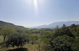 Poljoprivredno zemljište 77000m2 - Danilovgrad - Brijestovo