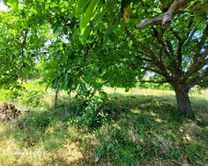 Građevinsko zemljište 2421m2 - Podgorica - Rogami