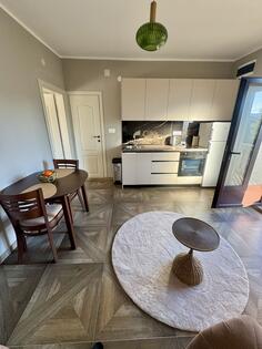 Jednosoban stan 452m2 - Podgorica - Podgorica (uži dio)