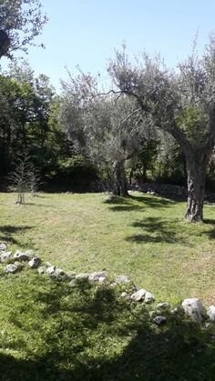 Košenje trave orezivanje voća i ograde