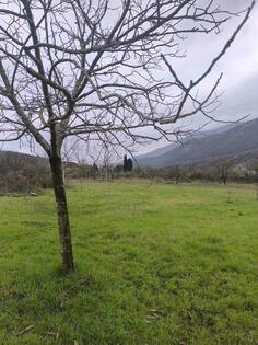 Poljoprivredno zemljište 4000m2 - Danilovgrad - Frutak