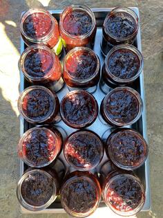 Prodajem domaći pekmez