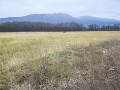 Industrijsko zemljište 19200m2 - Danilovgrad - Begovina