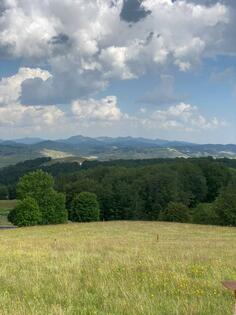 Poljoprivredno zemljište 1000m2 - Žabljak - Pošćenski Kraj
