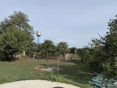 Porodična kuća 170m2 - Sombor - Čonoplja