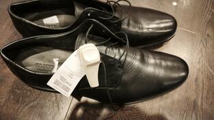 Cipele LLOYD  broj 50