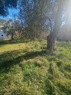 Građevinsko zemljište 728m2 - Bar - Čanj