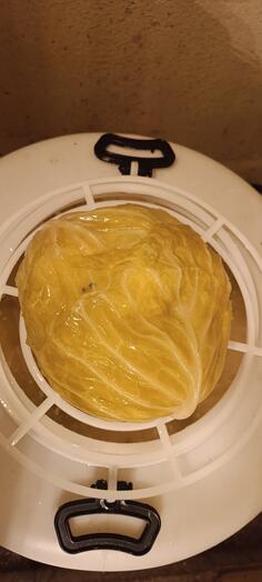 Prodajem domaci Ljeskopoljski kisjeli kupus