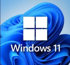 Windows Windows 10/11