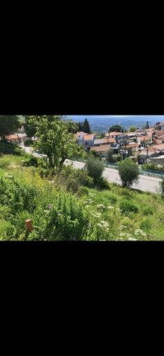 Građevinsko zemljište 1550m2 - Bar - Stari Bar