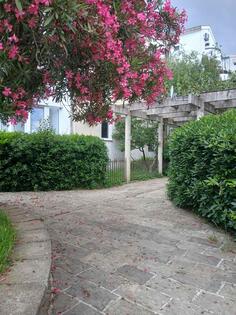 Garsonjera 40m2 - Budva - Golubovina
