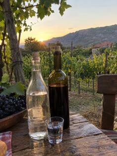 domaca rakija i vino