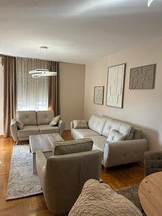Jednosoban stan 55m2 - Podgorica - > Okolina grada