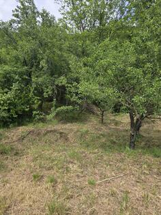 Poljoprivredno zemljište 11111m2 - Danilovgrad - > Okolina grada