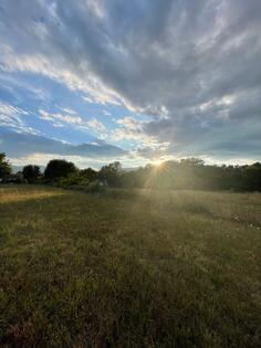 Građevinsko zemljište 5554m2 - Danilovgrad - Jastreb