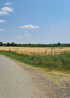 Poljoprivredno zemljište 6000m2 - Barajevo - Veliki Borak