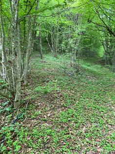 Poljoprivredno zemljište 13789m2 - Bijelo Polje - Pape