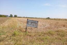 Građevinsko zemljište 10300m2 - Surčin - Dobanovci