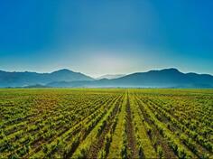 Građevinsko zemljište 480m2 - Podgorica - Gornja Gorica