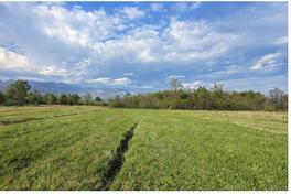 Građevinsko zemljište 5554m2 - Danilovgrad - Jastreb