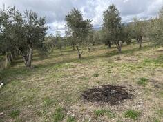 Građevinsko zemljište 1000m2 - Ulcinj - Ulcinjsko Polje