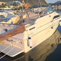 Sea ray - Cudy cabin 21