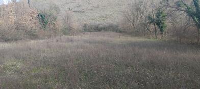 Poljoprivredno zemljište 2400m2 - Podgorica - Dajbabe