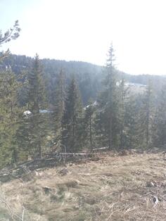 Građevinsko zemljište 500m2 - Berane - Lubnice