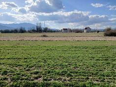 Građevinsko zemljište 3695m2 - Nikšić - Ozrinići