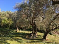 Poljoprivredno zemljište 850m2 - Bar - Bar (uži dio)