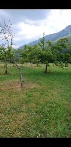 Građevinsko zemljište 856m2 - Kolašin - Donje Lipovo