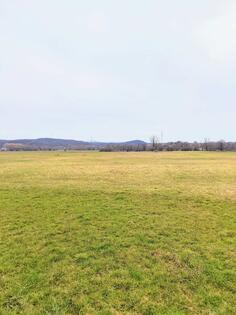 Poljoprivredno zemljište 1770m2 - Nikšić - Mokra Njiva