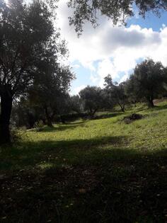 Poljoprivredno zemljište 8700m2 - Svi gradovi - GRC - Sve lokacije - GRC