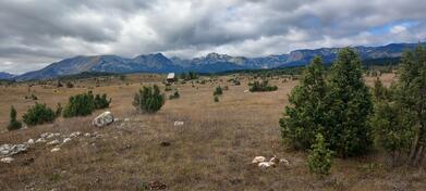 Poljoprivredno zemljište 10000m2 - Žabljak - Borje
