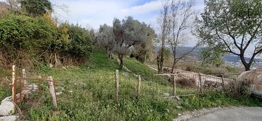 Poljoprivredno zemljište 900m2 - Bar - Bar (uži dio)